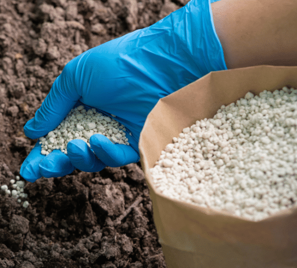 Adubos e Fertilizantes