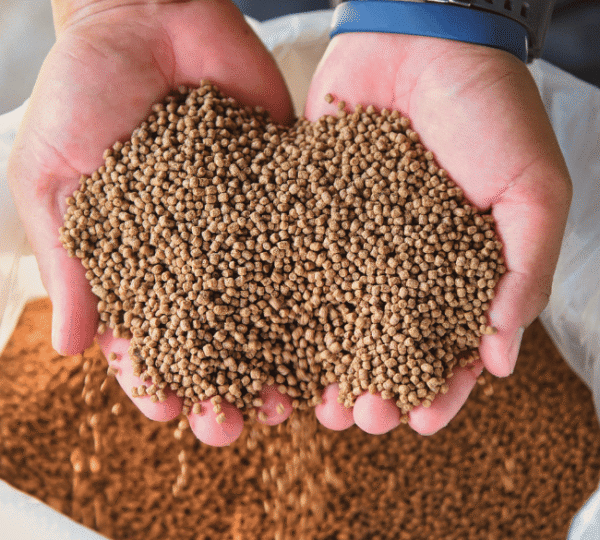 Suplementos e Rações Animais